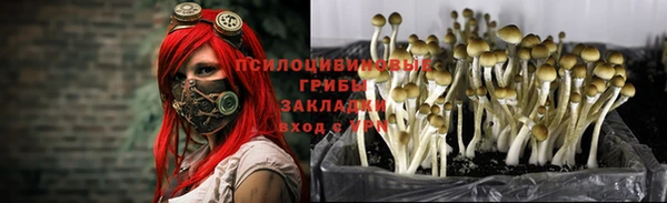 мяу мяу кристалл Аркадак