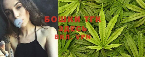 тгк Армянск