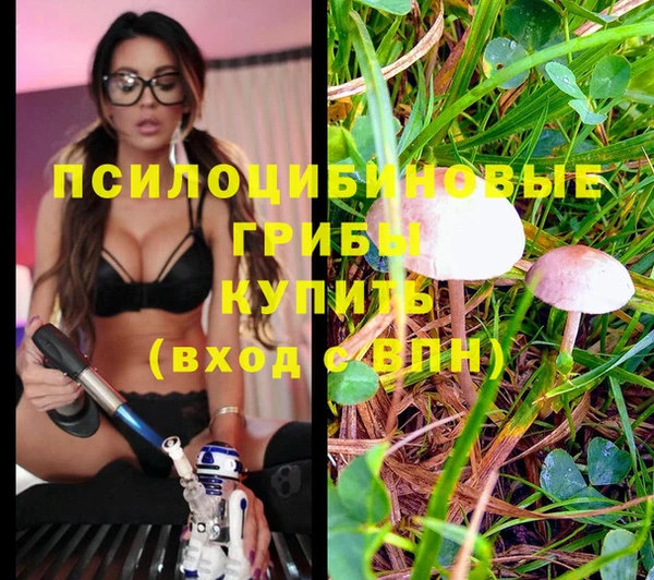 тгк Армянск