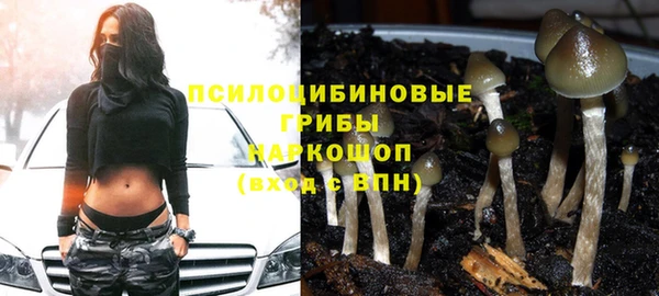 тгк Армянск