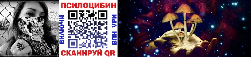ссылка на мегу онион  Николаевск-на-Амуре  Галлюциногенные грибы GOLDEN TEACHER 